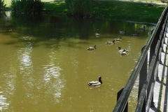 DSCN0128
