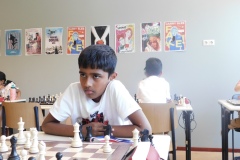 DSCN0252